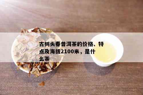 古树头春普洱茶的价格、特点及海拔2100米，是什么茶