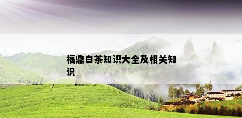 福鼎白茶知识大全及相关知识