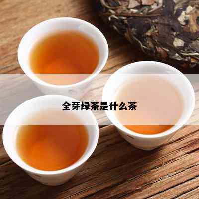 全芽绿茶是什么茶