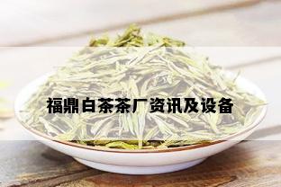 福鼎白茶茶厂资讯及设备