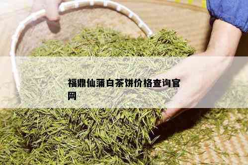 福鼎仙蒲白茶饼价格查询官网