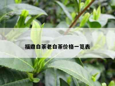 福鼎白茶老白茶价格一览表