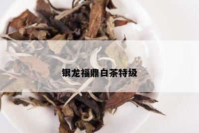 银龙福鼎白茶特级