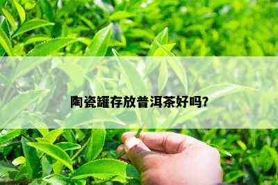 陶瓷罐存放普洱茶好吗？