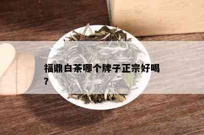 福鼎白茶哪个牌子正宗好喝？