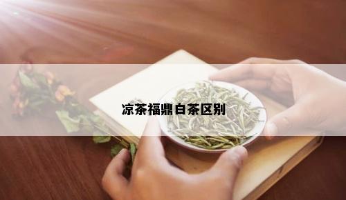 凉茶福鼎白茶区别