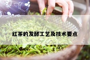 红茶的发酵工艺及技术要点