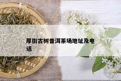 厚街古树普洱茶场地址及电话