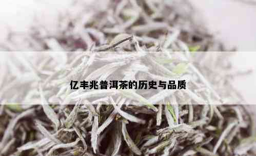 亿丰兆普洱茶的历史与品质