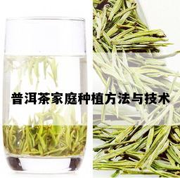 普洱茶家庭种植方法与技术