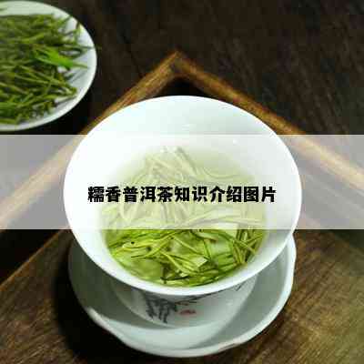 糯香普洱茶知识介绍图片