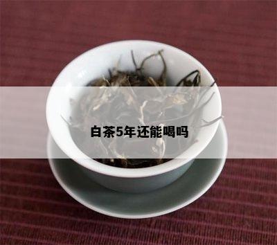 白茶5年还能喝吗