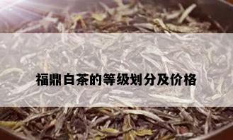 福鼎白茶的等级划分及价格