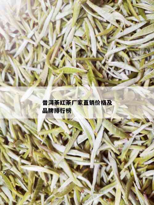 普洱茶红茶厂家直销价格及品牌排行榜