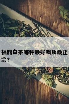 福鼎白茶哪种更好喝及最正宗?