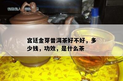 宫廷金芽普洱茶好不好，多少钱，功效，是什么茶