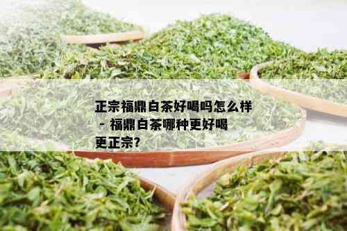 正宗福鼎白茶好喝吗怎么样 - 福鼎白茶哪种更好喝更正宗？