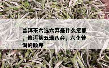 普洱茶六选六弃是什么意思，普洱茶五选八弃，六个普洱的顺序