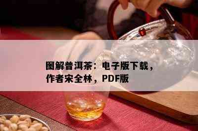 图解普洱茶：电子版下载，作者宋全林，PDF版