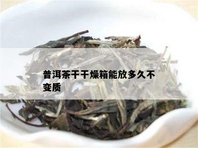 普洱茶干干燥箱能放多久不变质