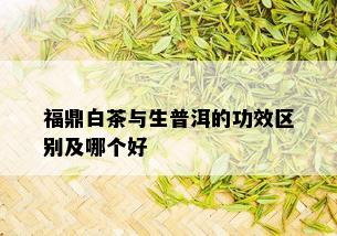 福鼎白茶与生普洱的功效区别及哪个好