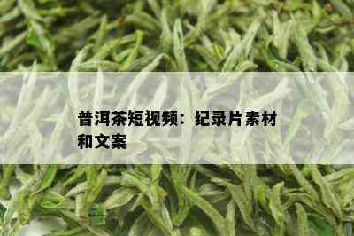 普洱茶短视频：纪录片素材和文案