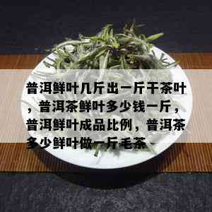 普洱鲜叶几斤出一斤干茶叶，普洱茶鲜叶多少钱一斤，普洱鲜叶成品比例，普洱茶多少鲜叶做一斤毛茶