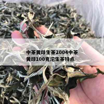 中茶黄印生茶2004中茶黄印100克沱生茶特点