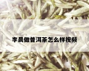 李晨做普洱茶怎么样视频