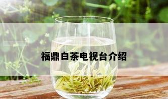 福鼎白茶电视台介绍