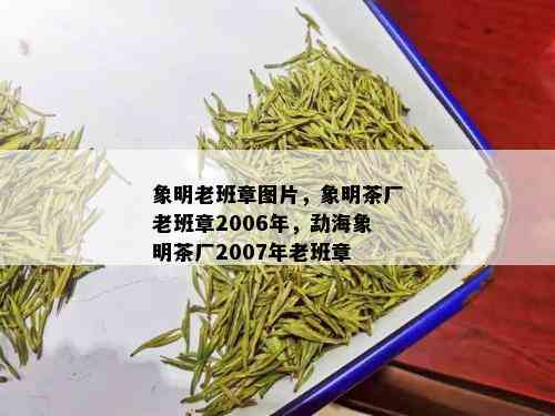 象明老班章图片，象明茶厂老班章2006年，勐海象明茶厂2007年老班章