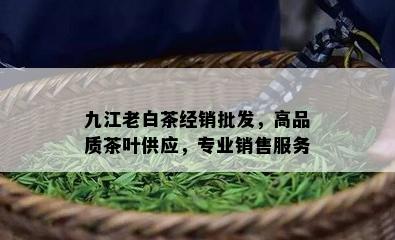 九江老白茶经销批发，高品质茶叶供应，专业销售服务