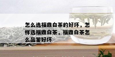 怎么选福鼎白茶的好坏，怎样选福鼎白茶，福鼎白茶怎么品鉴好坏