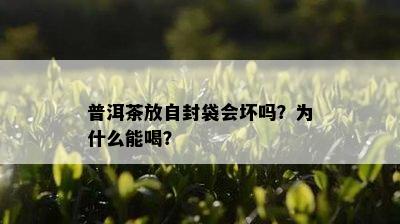 普洱茶放自封袋会坏吗？为什么能喝？