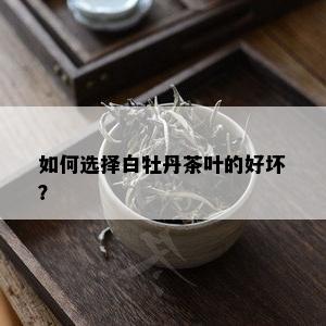 如何选择白牡丹茶叶的好坏？