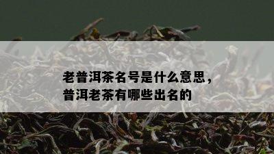 老普洱茶名号是什么意思，普洱老茶有哪些出名的