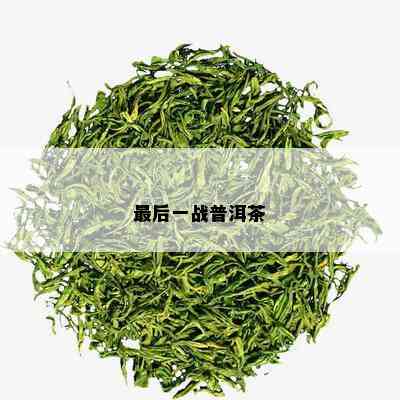 最后一战普洱茶