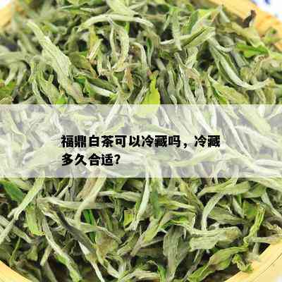 福鼎白茶可以冷藏吗，冷藏多久合适？