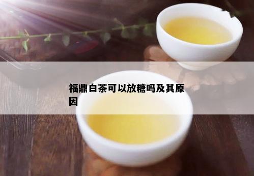 福鼎白茶可以放糖吗及其原因