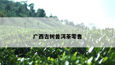 广西古树普洱茶零售