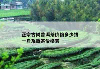 正宗古树普洱茶价格多少钱一斤及熟茶价格表