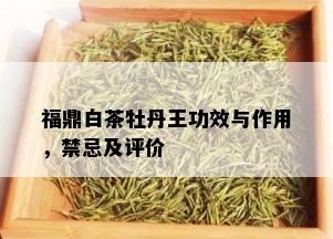 福鼎白茶牡丹王功效与作用，禁忌及评价