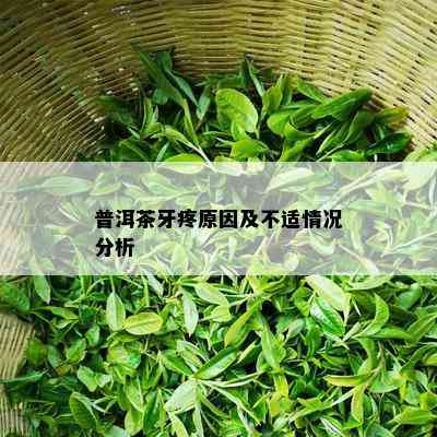 普洱茶牙疼原因及不适情况分析