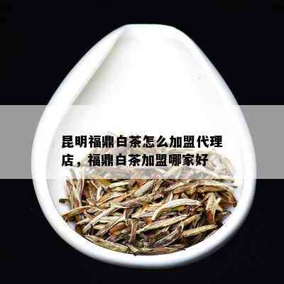 昆明福鼎白茶怎么加盟代理店，福鼎白茶加盟哪家好