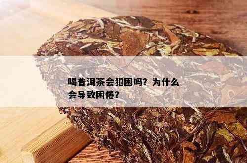 喝普洱茶会犯困吗？为什么会导致困倦？