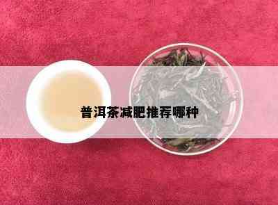 普洱茶减肥推荐哪种