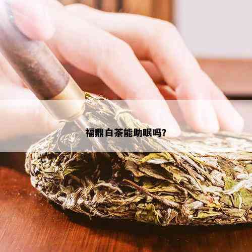 福鼎白茶能助眠吗？