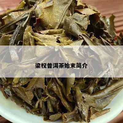 梁权普洱茶始末简介