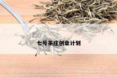 七号茶庄创业计划