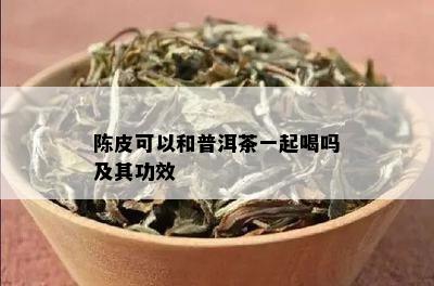 陈皮可以和普洱茶一起喝吗及其功效